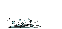 Animated Fish